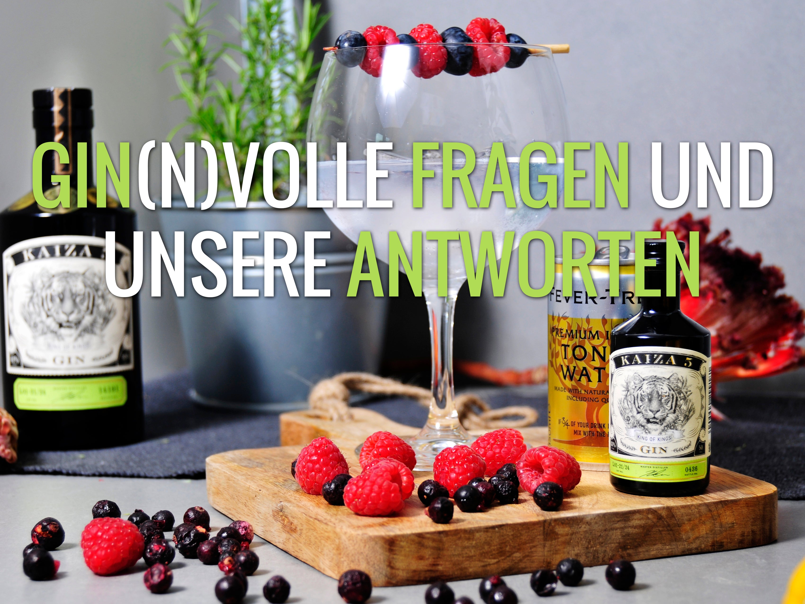 Gin(n)volle Fragen und unsere Antworten