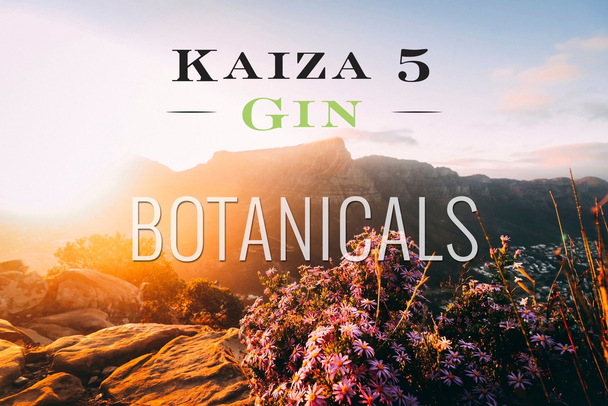 Botanicals Gin – die Würze Südafrikas vereint in unverkennbarem Geschmack