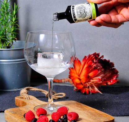 KAIZA 5 GIN - Tastingset 3x 0,05 l - 43% | KAIZA 5 ORIGINAL, BLUE und ORANGE | 3x passendes Tonic Water in der Dose 150 ml